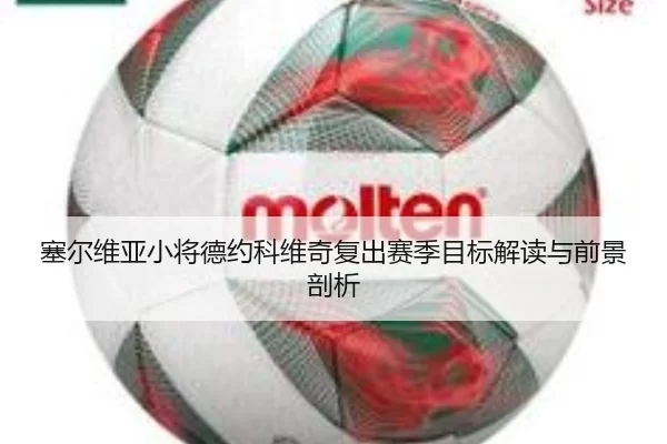 塞尔维亚小将德约科维奇复出赛季目标解读与前景剖析